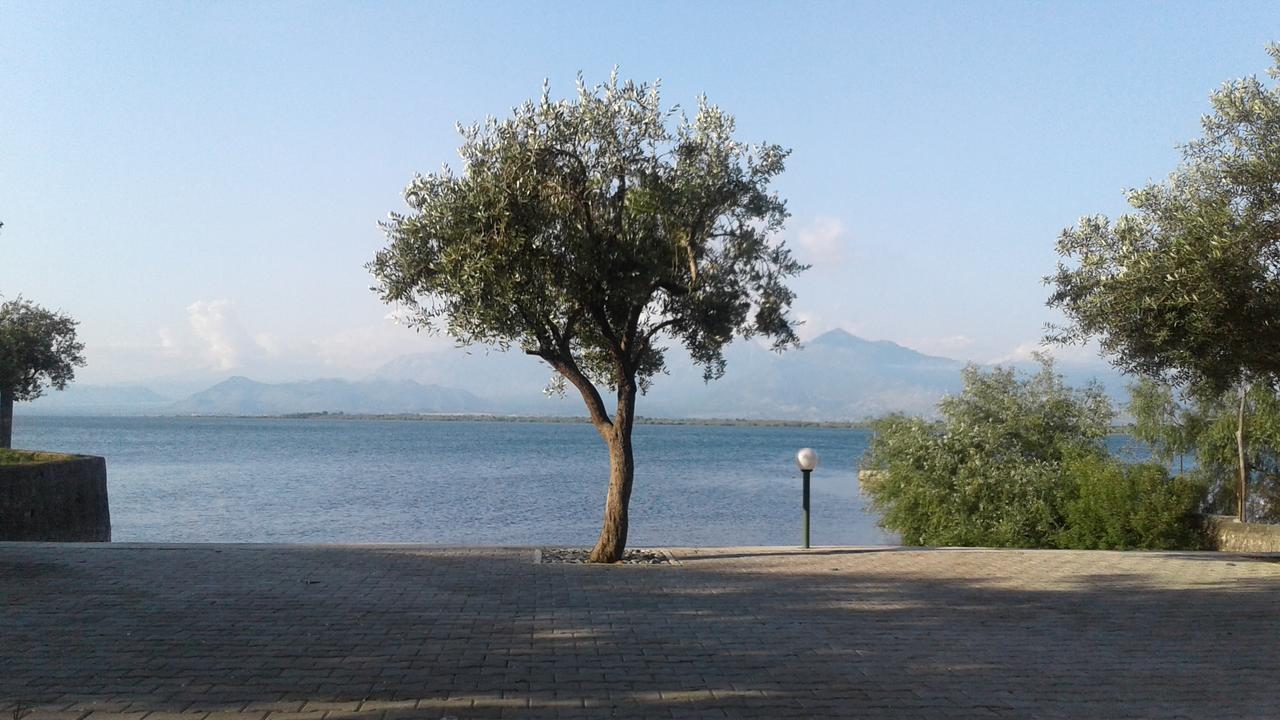 Hotel Shkodra Lake Široka Exterior photo