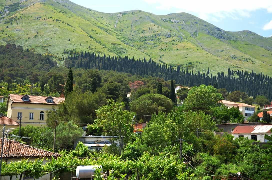 Hotel Shkodra Lake Široka Exterior photo